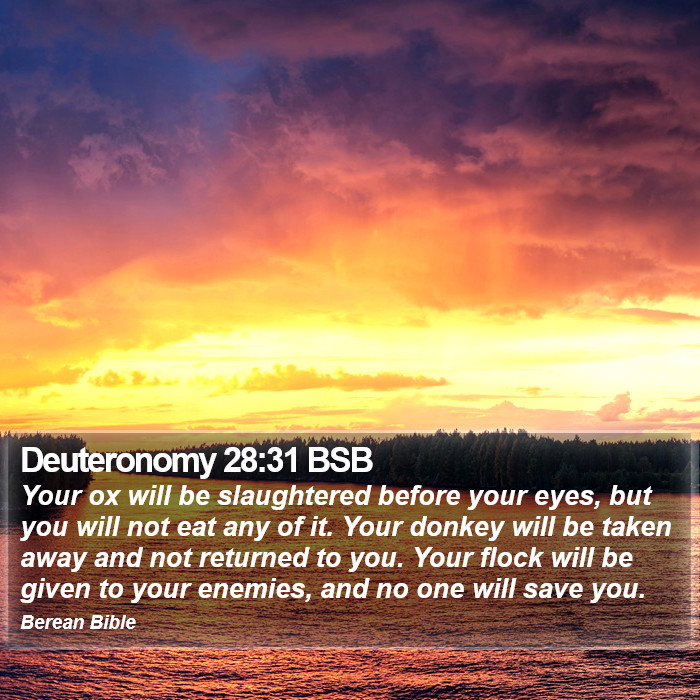 Deuteronomy 28:31 BSB Bible Study