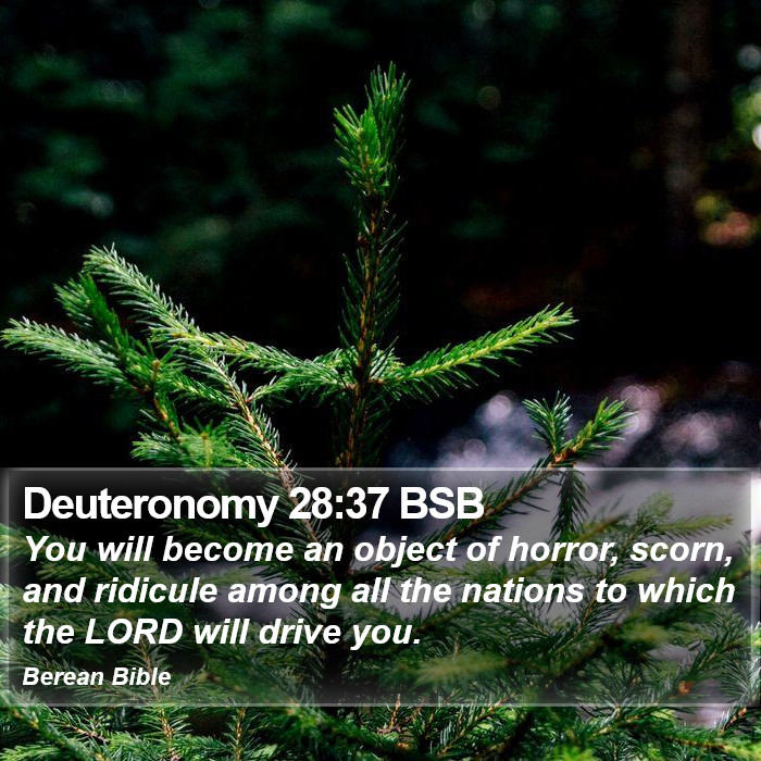 Deuteronomy 28:37 BSB Bible Study