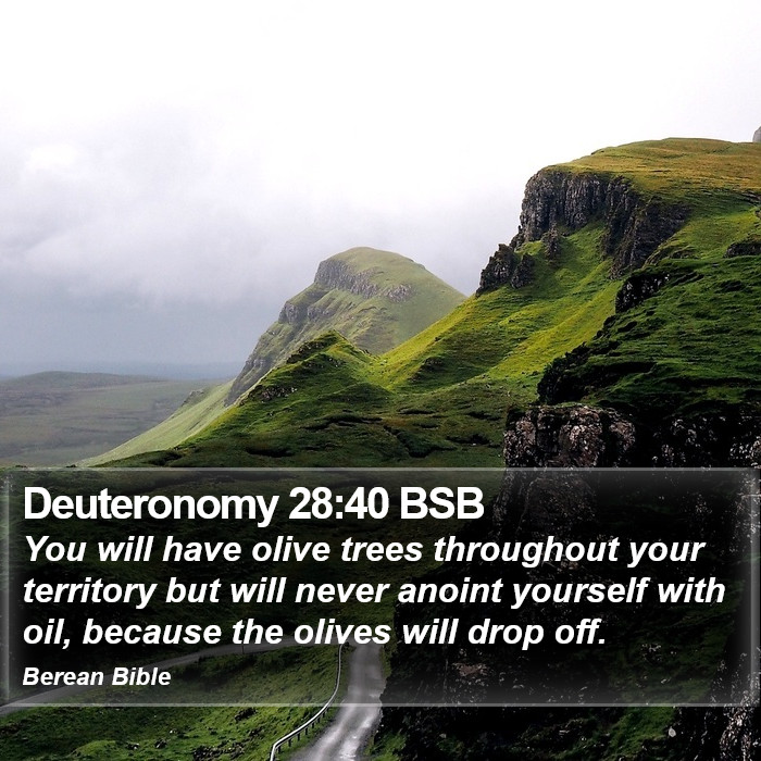 Deuteronomy 28:40 BSB Bible Study