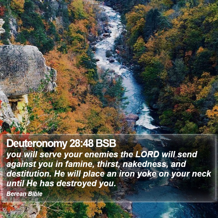 Deuteronomy 28:48 BSB Bible Study