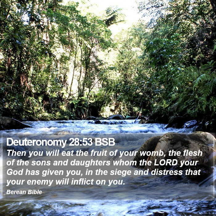 Deuteronomy 28:53 BSB Bible Study