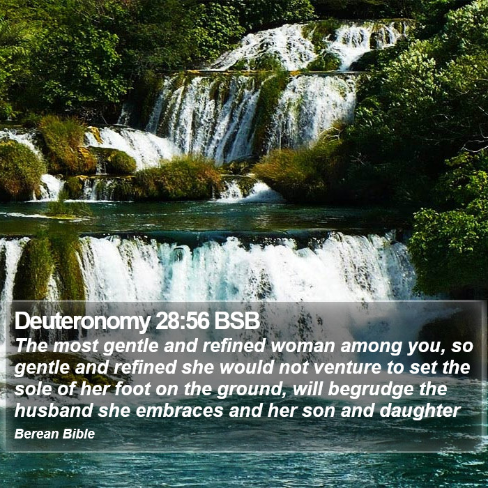 Deuteronomy 28:56 BSB Bible Study