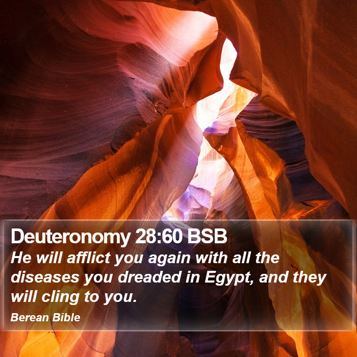 Deuteronomy 28:60 BSB Bible Study