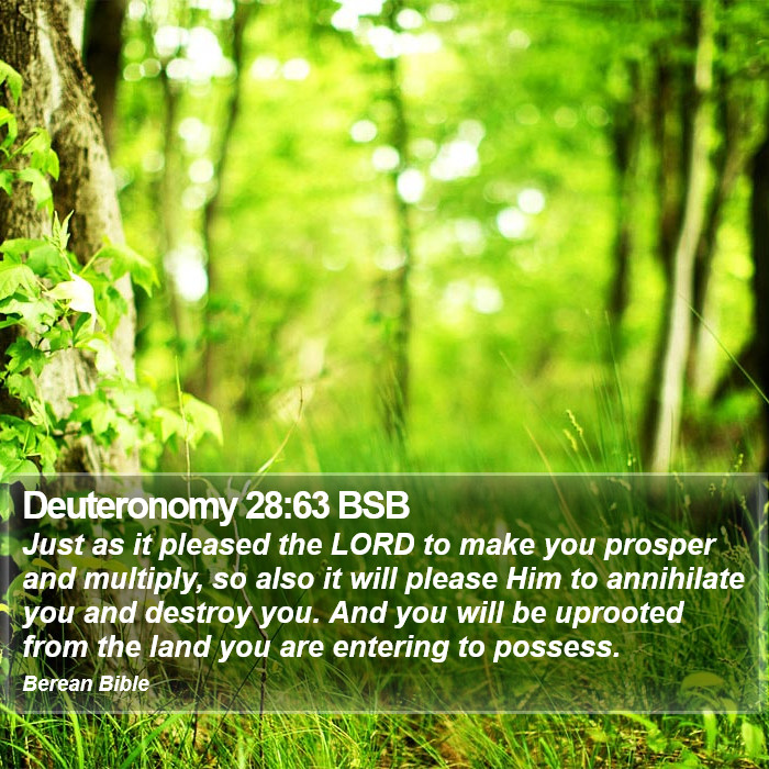 Deuteronomy 28:63 BSB Bible Study