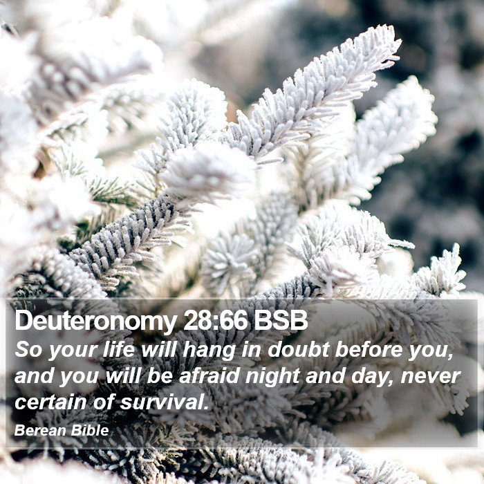 Deuteronomy 28:66 BSB Bible Study