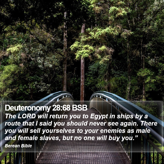 Deuteronomy 28:68 BSB Bible Study