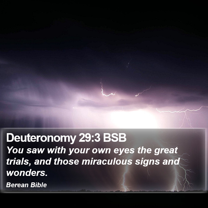 Deuteronomy 29:3 BSB Bible Study