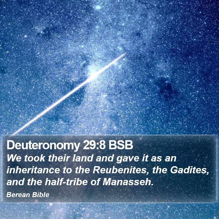 Deuteronomy 29:8 BSB Bible Study