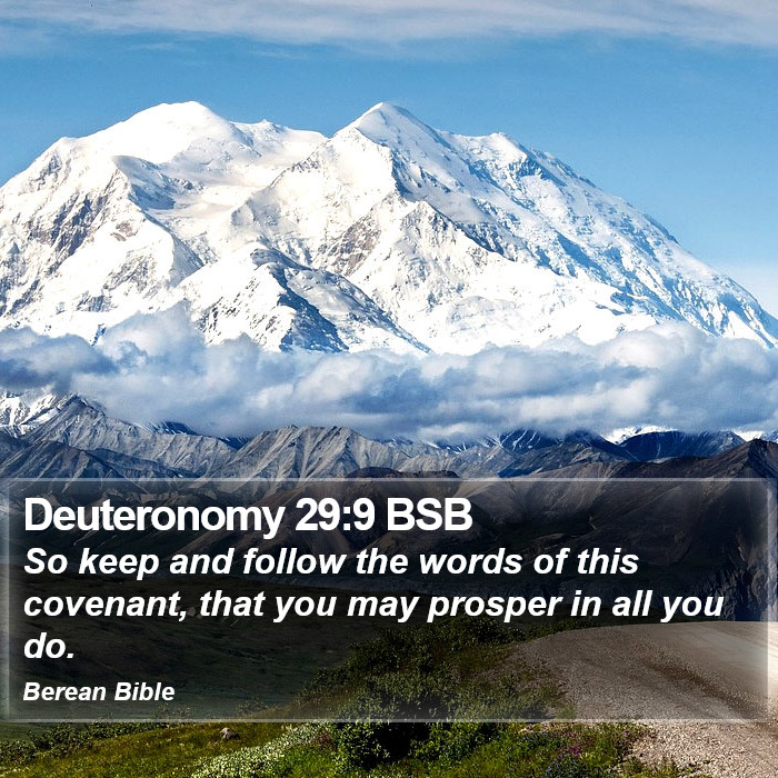 Deuteronomy 29:9 BSB Bible Study