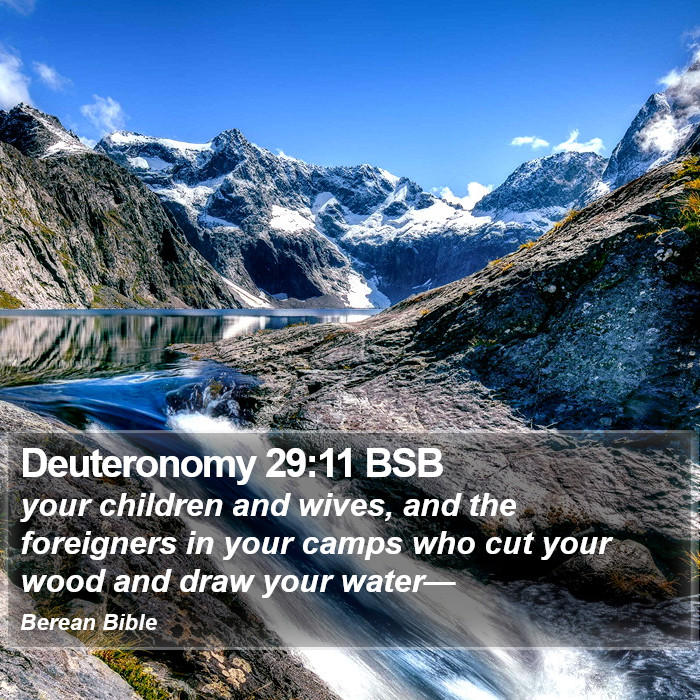 Deuteronomy 29:11 BSB Bible Study