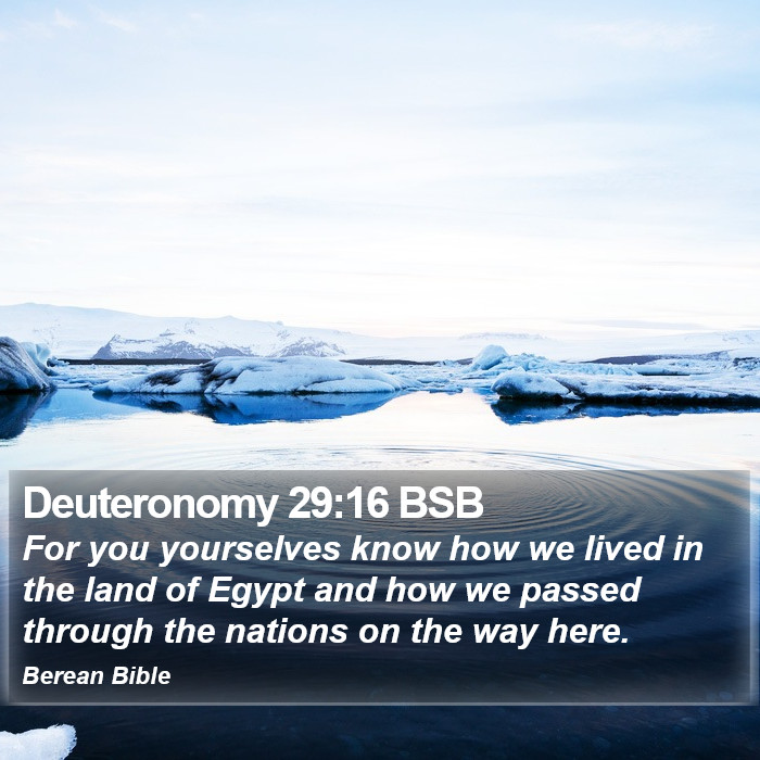 Deuteronomy 29:16 BSB Bible Study