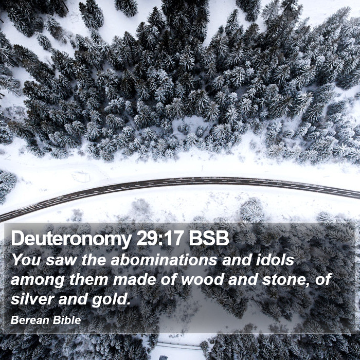 Deuteronomy 29:17 BSB Bible Study