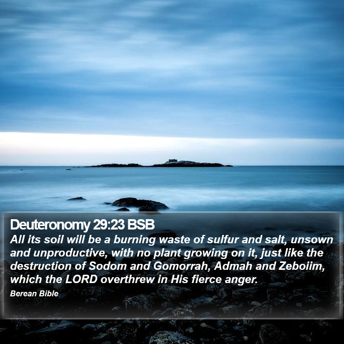 Deuteronomy 29:23 BSB Bible Study