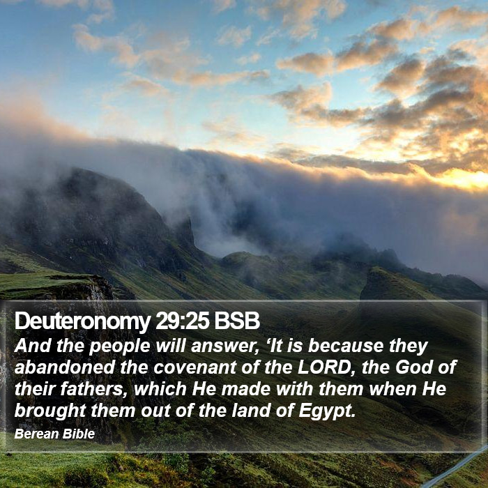 Deuteronomy 29:25 BSB Bible Study