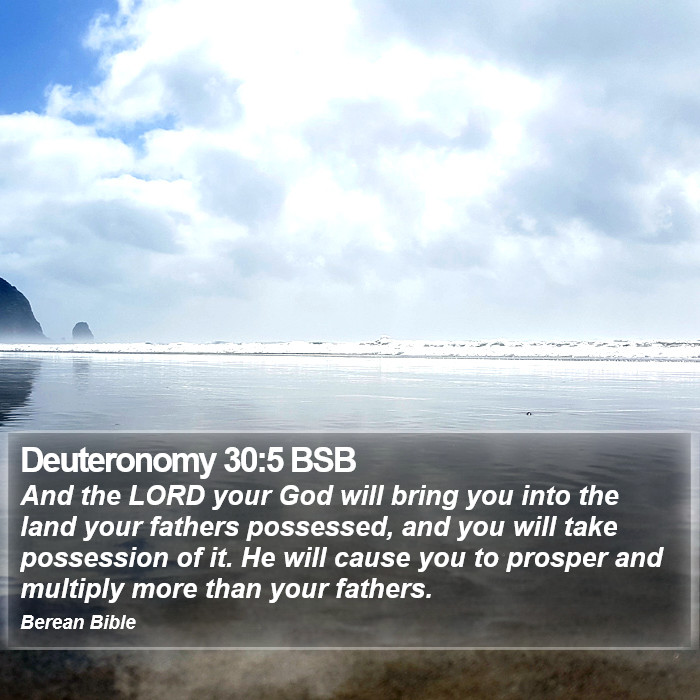 Deuteronomy 30:5 BSB Bible Study