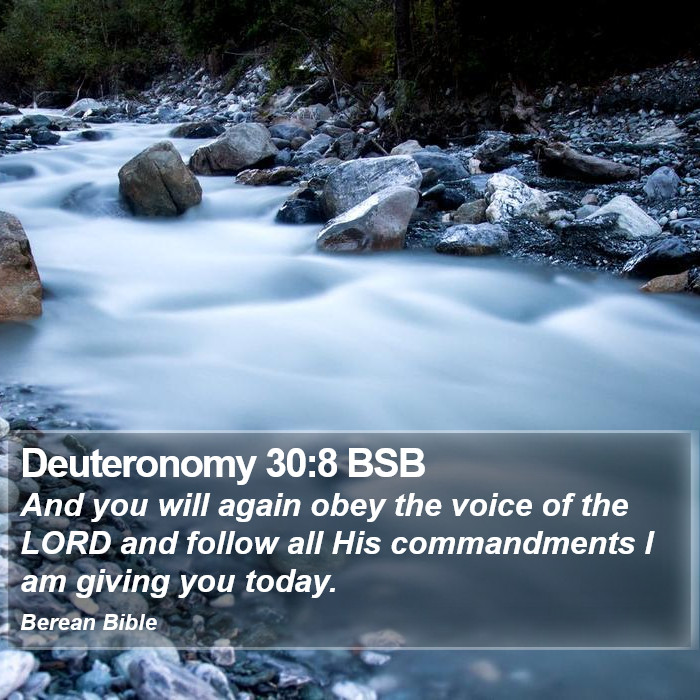 Deuteronomy 30:8 BSB Bible Study