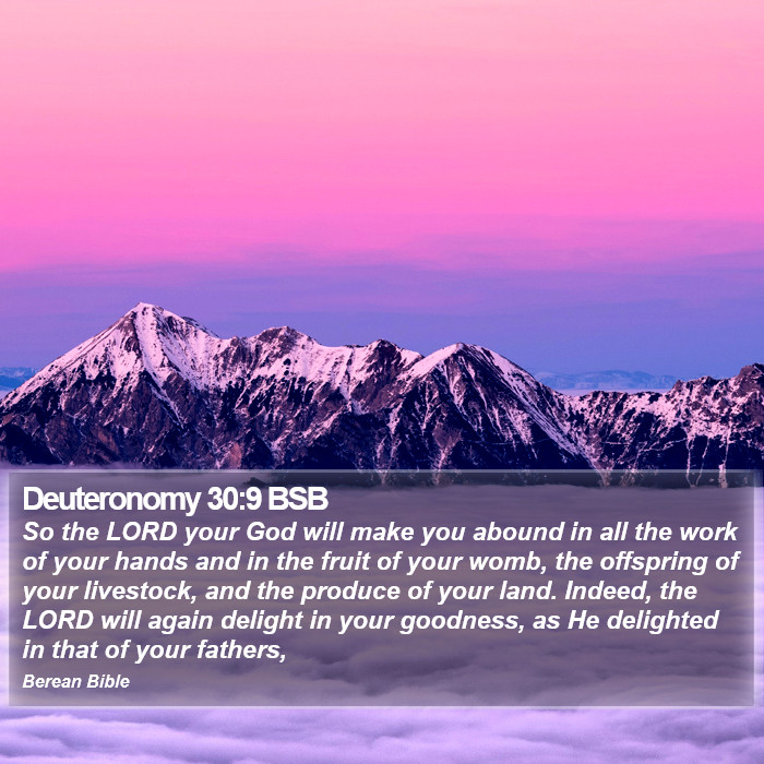 Deuteronomy 30:9 BSB Bible Study