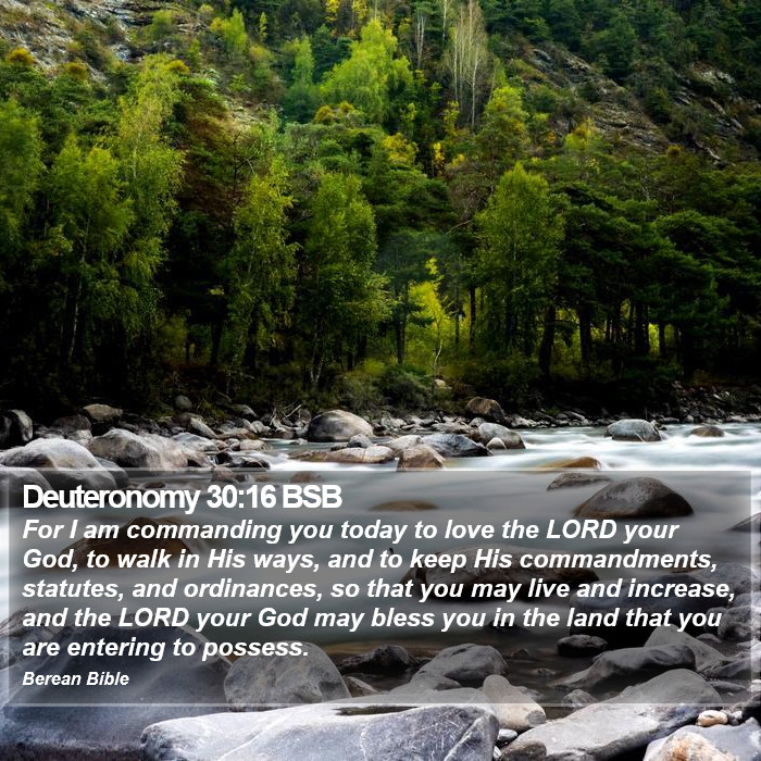 Deuteronomy 30:16 BSB Bible Study