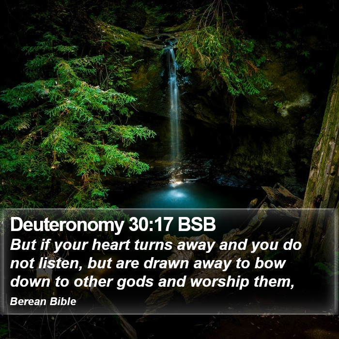 Deuteronomy 30:17 BSB Bible Study