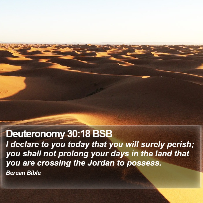 Deuteronomy 30:18 BSB Bible Study