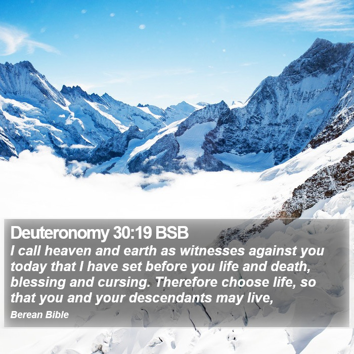 Deuteronomy 30:19 BSB Bible Study