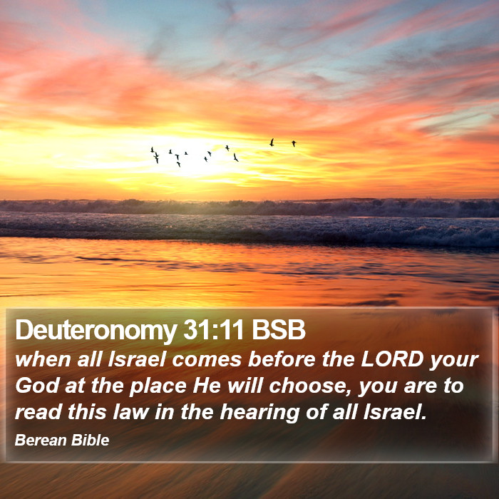 Deuteronomy 31:11 BSB Bible Study