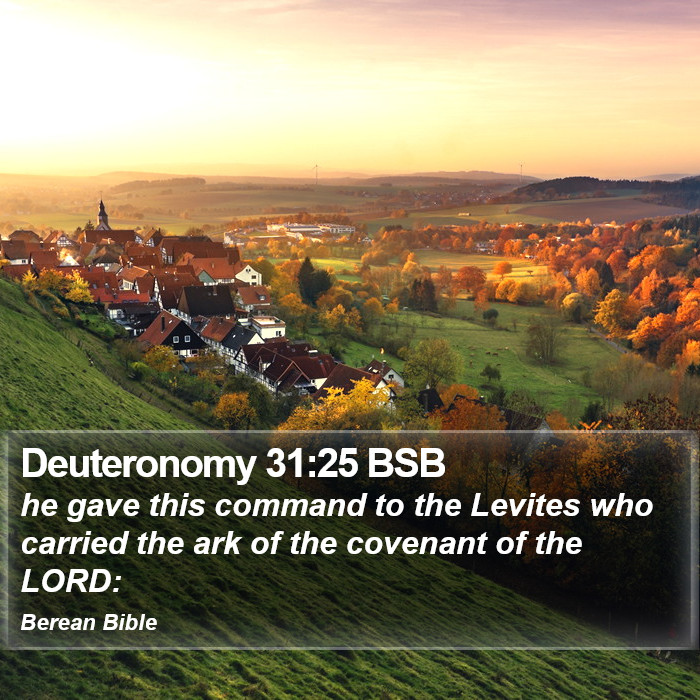 Deuteronomy 31:25 BSB Bible Study