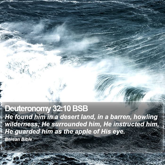 Deuteronomy 32:10 BSB Bible Study