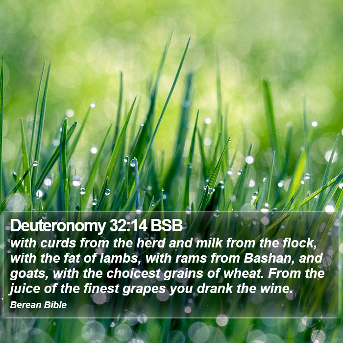 Deuteronomy 32:14 BSB Bible Study