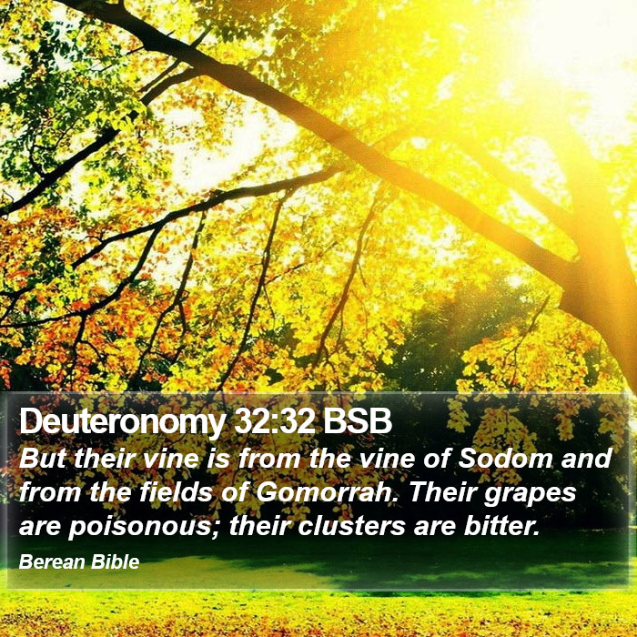 Deuteronomy 32:32 BSB Bible Study