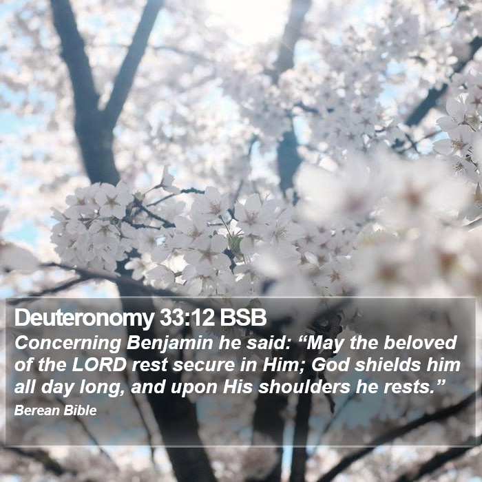 Deuteronomy 33:12 BSB Bible Study