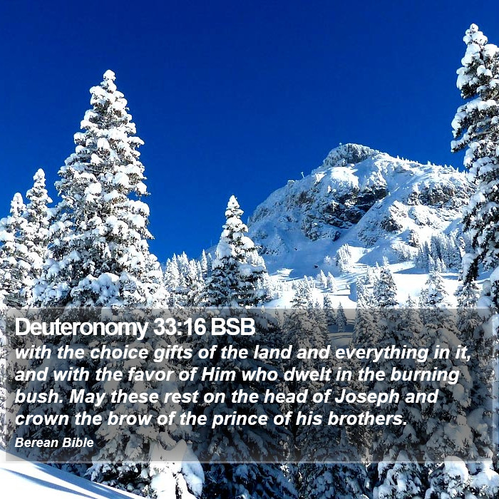 Deuteronomy 33:16 BSB Bible Study