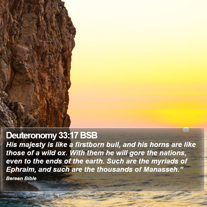 Deuteronomy 33:17 BSB Bible Study