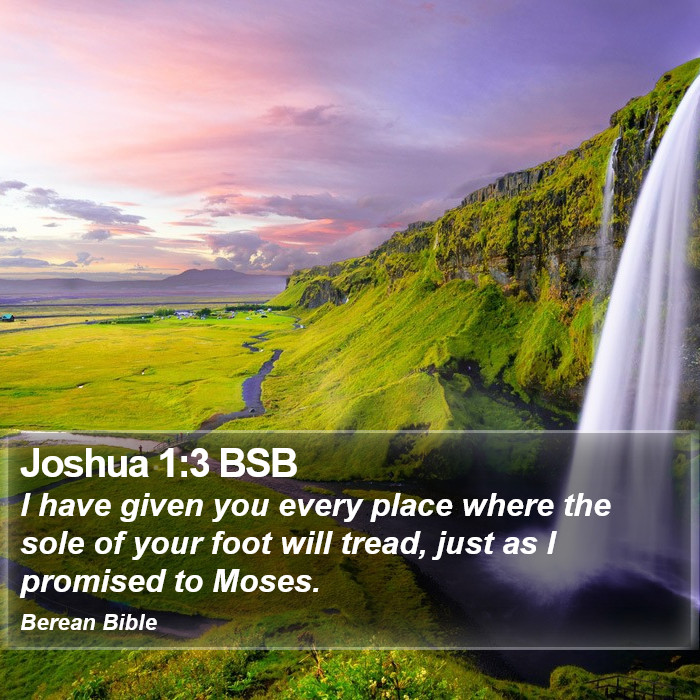 Joshua 1:3 BSB Bible Study