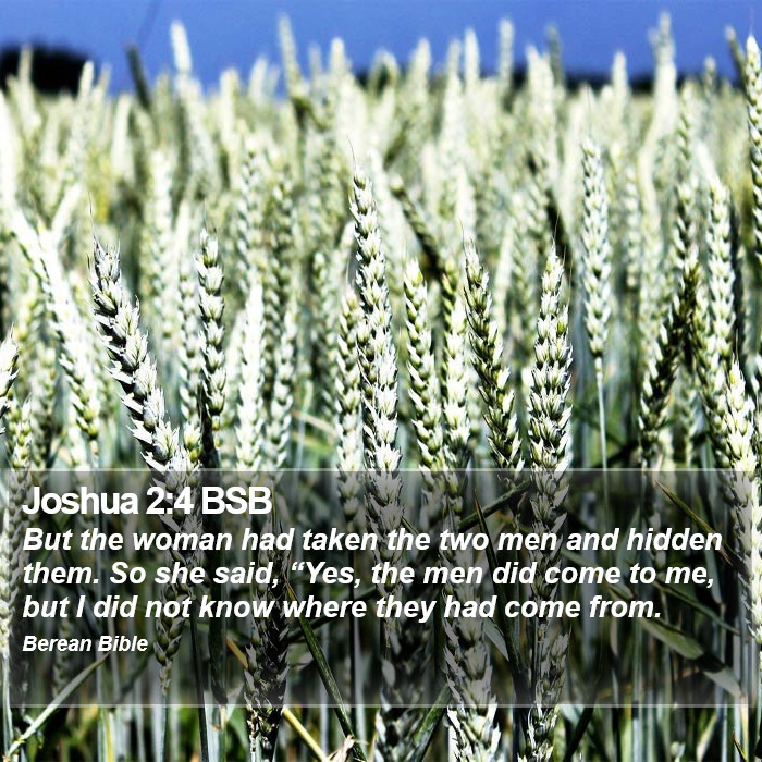 Joshua 2:4 BSB Bible Study