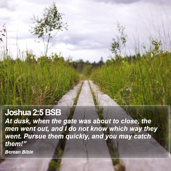 Joshua 2:5 BSB Bible Study