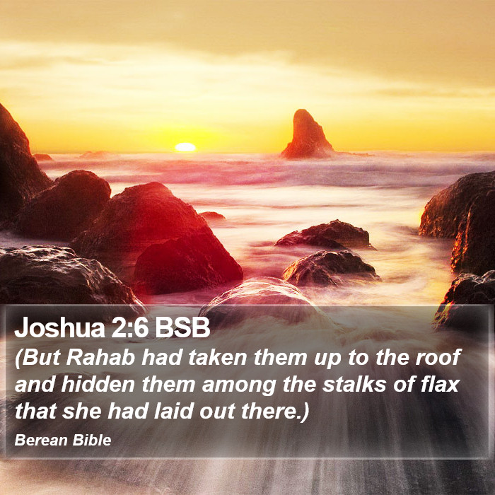 Joshua 2:6 BSB Bible Study