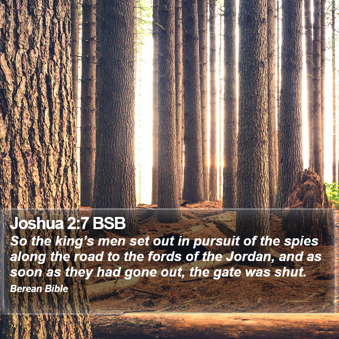 Joshua 2:7 BSB Bible Study