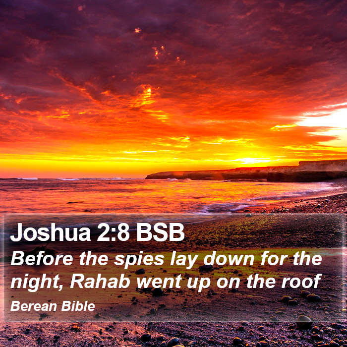 Joshua 2:8 BSB Bible Study