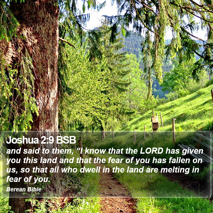 Joshua 2:9 BSB Bible Study