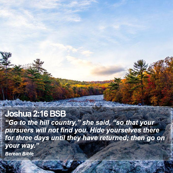 Joshua 2:16 BSB Bible Study