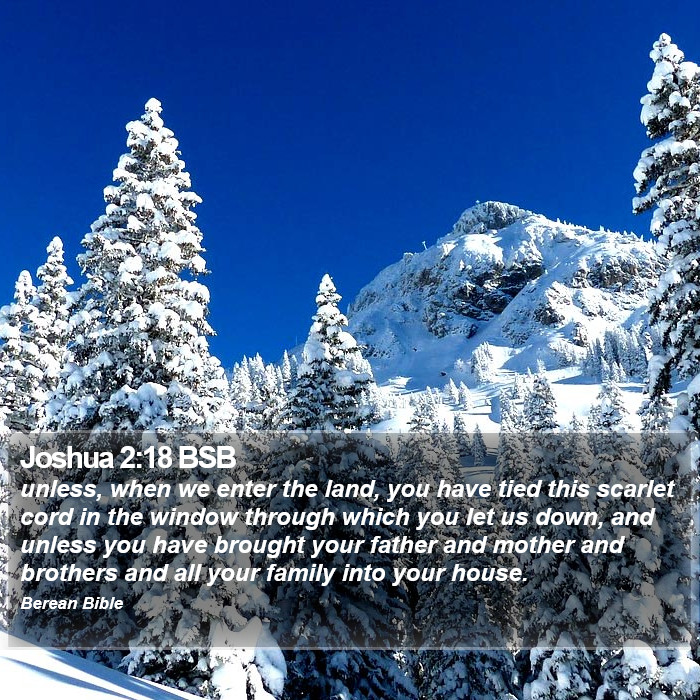 Joshua 2:18 BSB Bible Study