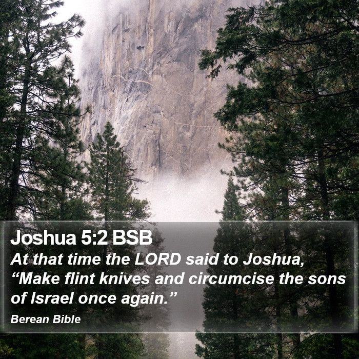 Joshua 5:2 BSB Bible Study