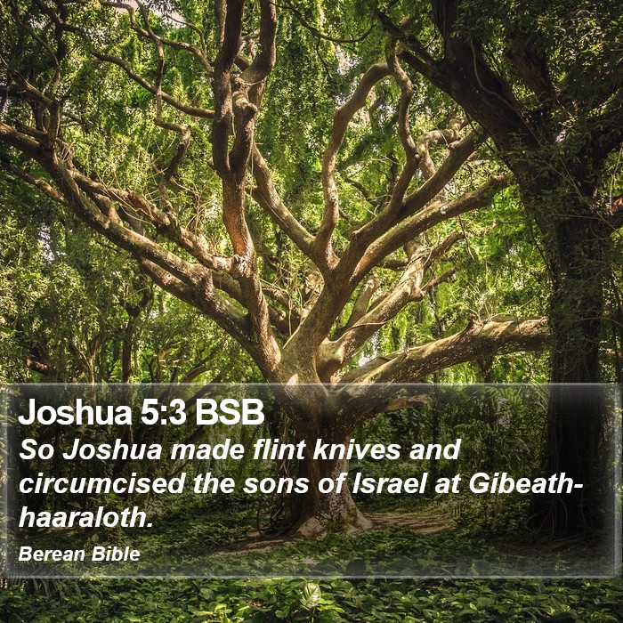 Joshua 5:3 BSB Bible Study