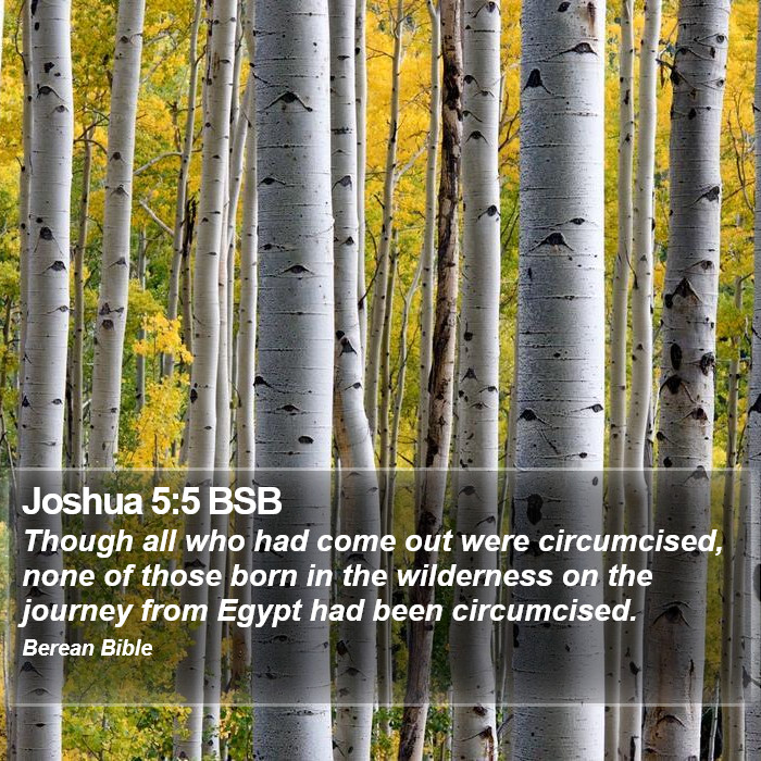 Joshua 5:5 BSB Bible Study