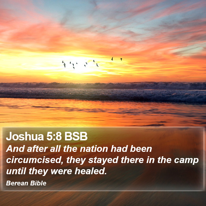 Joshua 5:8 BSB Bible Study