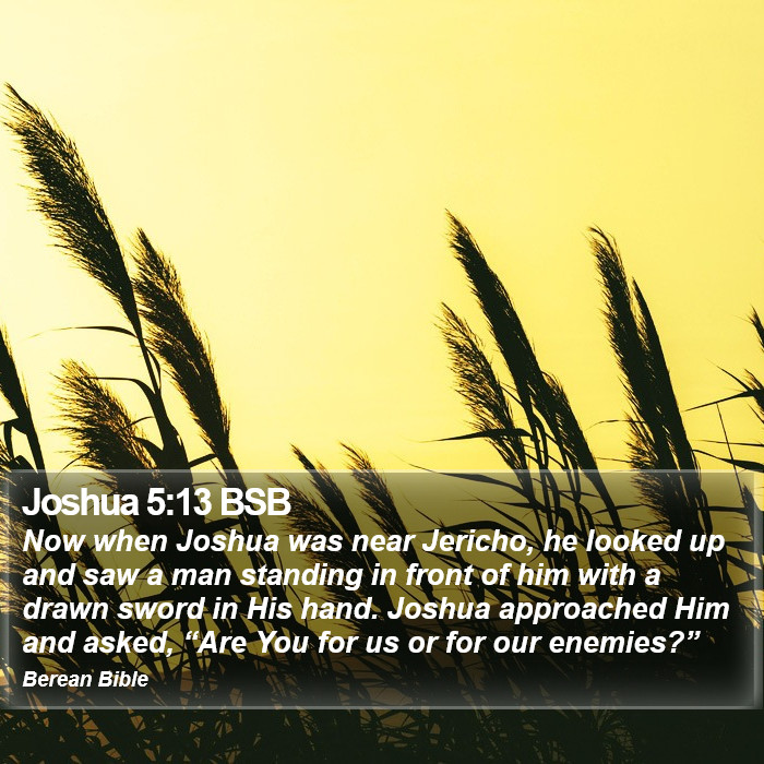 Joshua 5:13 BSB Bible Study