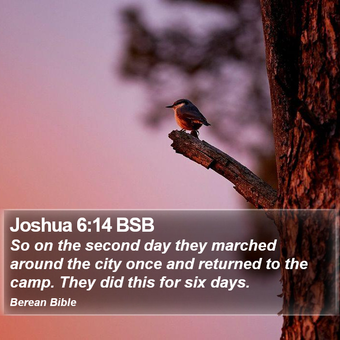 Joshua 6:14 BSB Bible Study