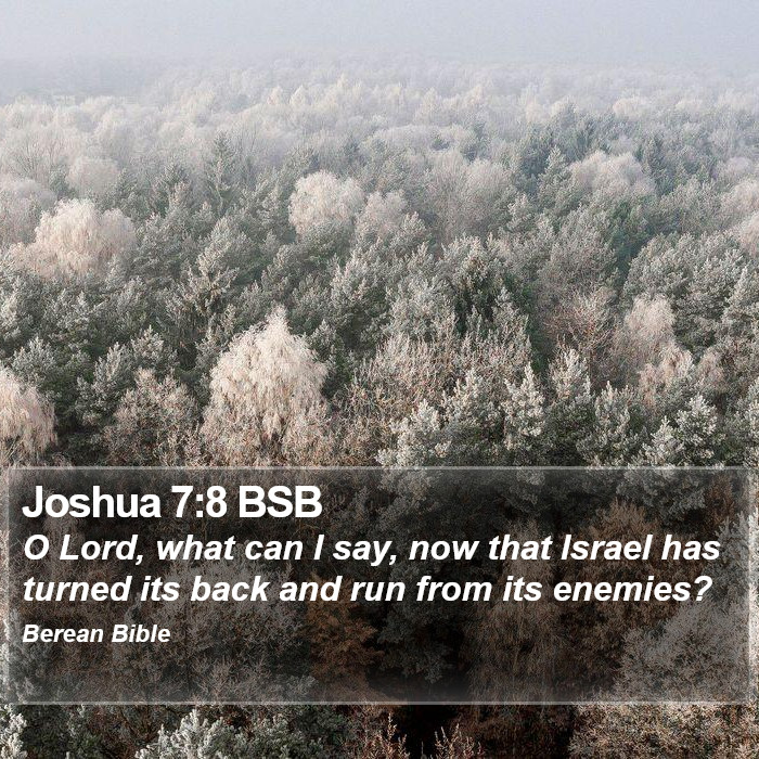 Joshua 7:8 BSB Bible Study