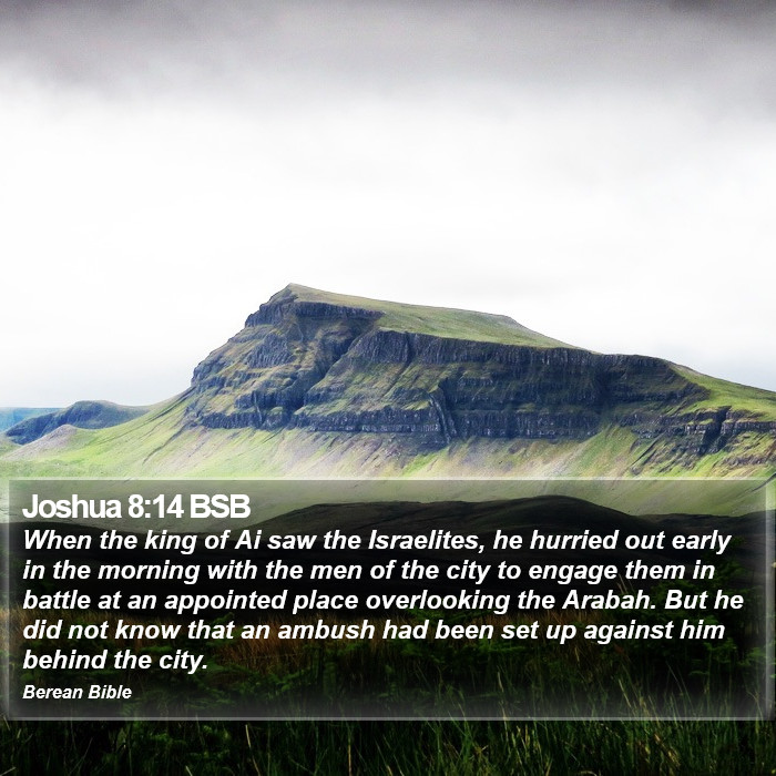 Joshua 8:14 BSB Bible Study